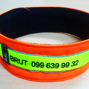 Ogrlica za psa s imenom i brojem telefona